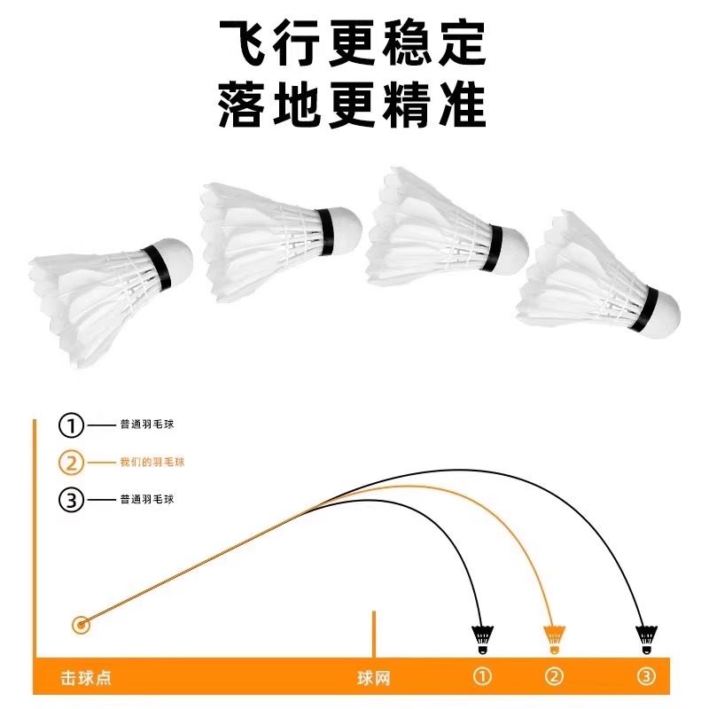 ライオンバドミントンシャトルコック グースフェザー 12個入 - Badminton Event のレビューと価格